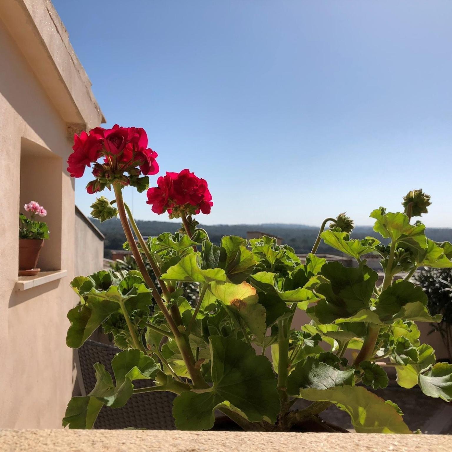 Vista De La Vila - Turismo De Interior. Llubi ห้อง รูปภาพ